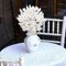 120 PCS White Dried Pampas Grass Decor, 17-inch Pompas Floral, Dry Flowers for Decoration, Pampas Grass in Bulk Tall, White Bunny Tails Dried Flowers for Boho Wedding